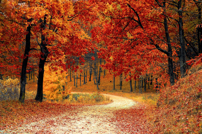 Seasonal