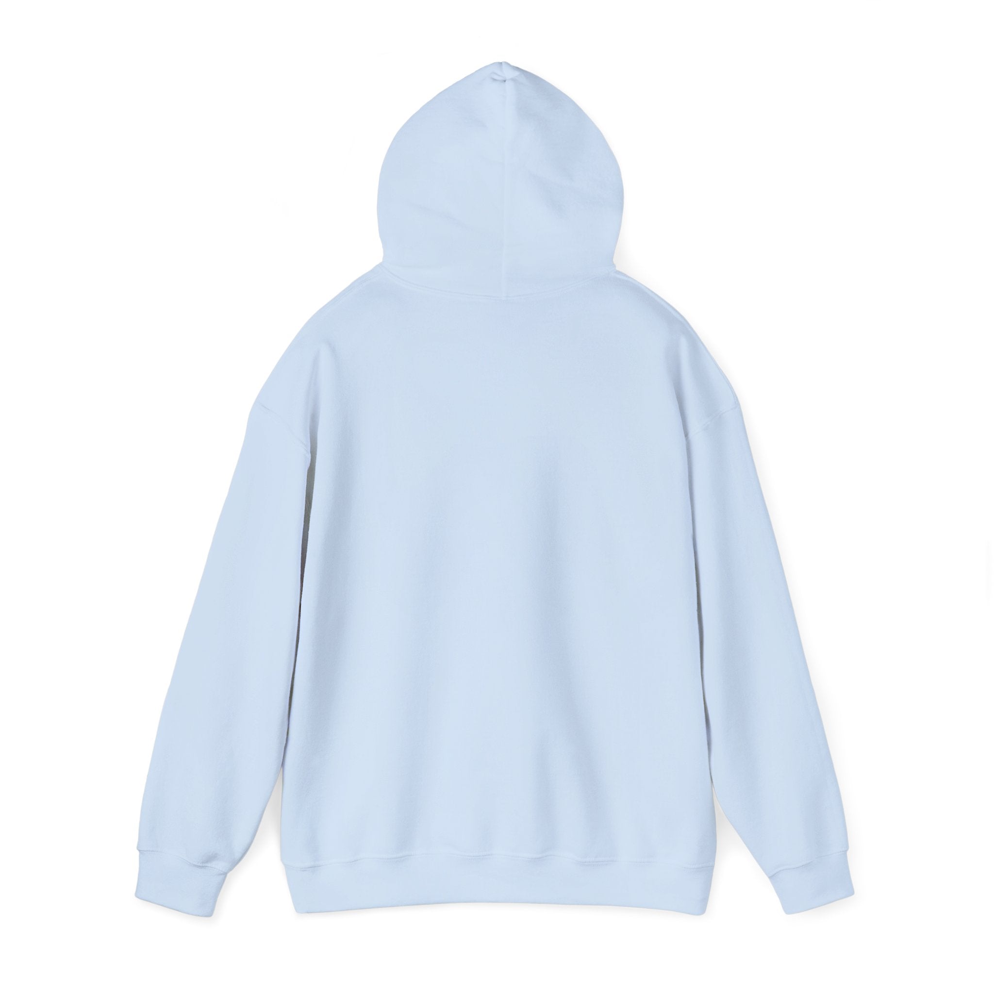 America 250th Anniversary Eagle | Unisex Hoodie