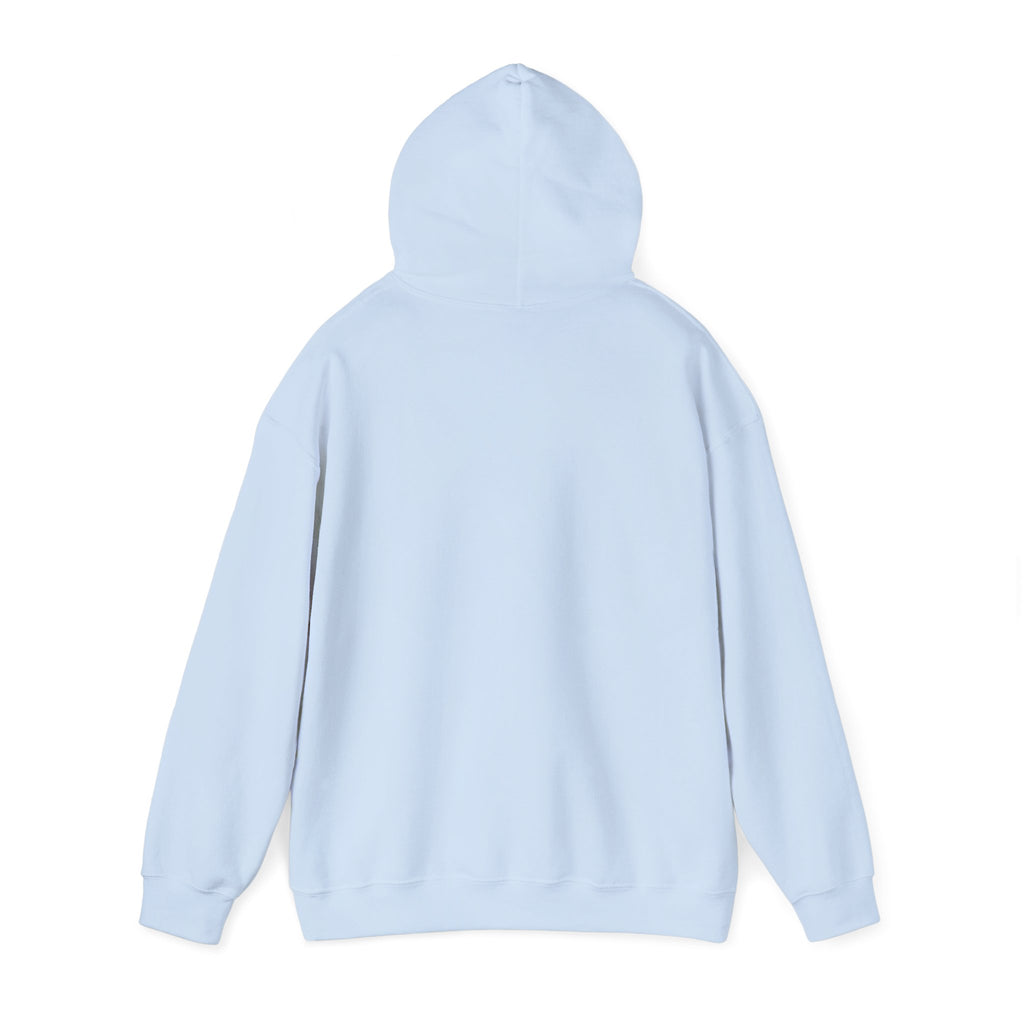 America 250th Anniversary Eagle | Unisex Hoodie