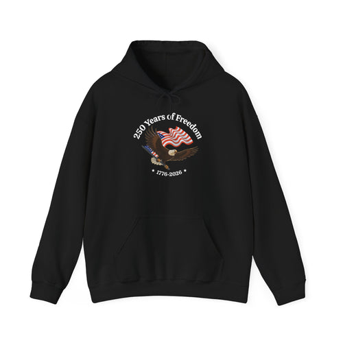 America 250th Anniversary Eagle | Unisex Hoodie