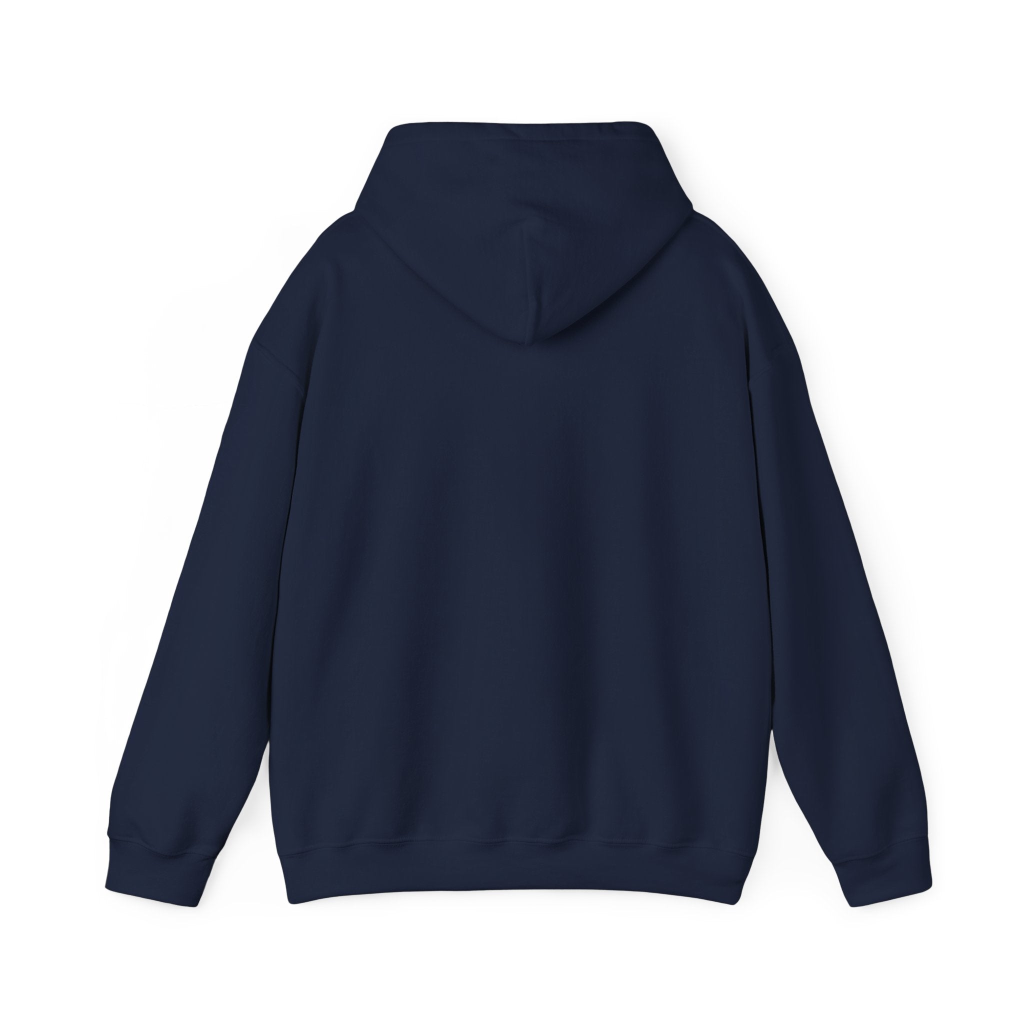 America 250th Anniversary Eagle | Unisex Hoodie