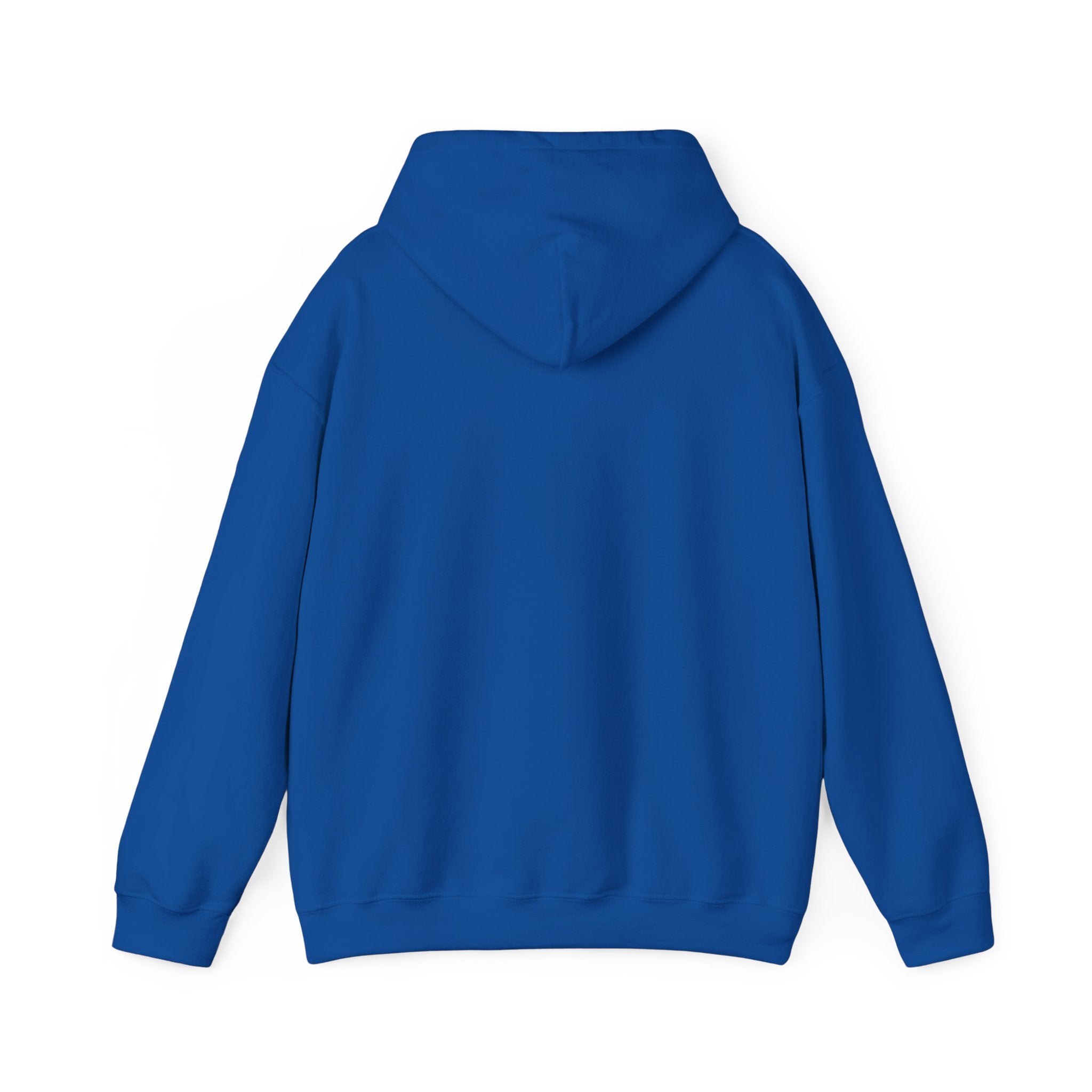 America 250th Anniversary Eagle | Unisex Hoodie