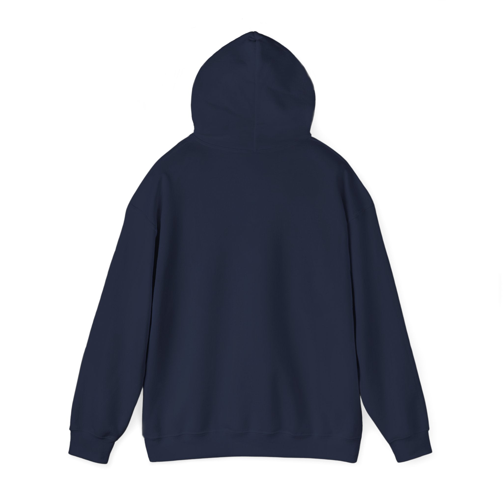 America 250th Anniversary Eagle | Unisex Hoodie