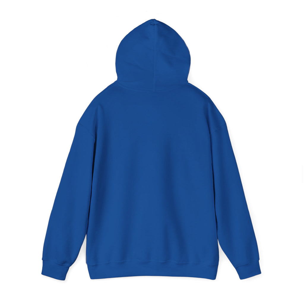 America 250th Anniversary Eagle | Unisex Hoodie