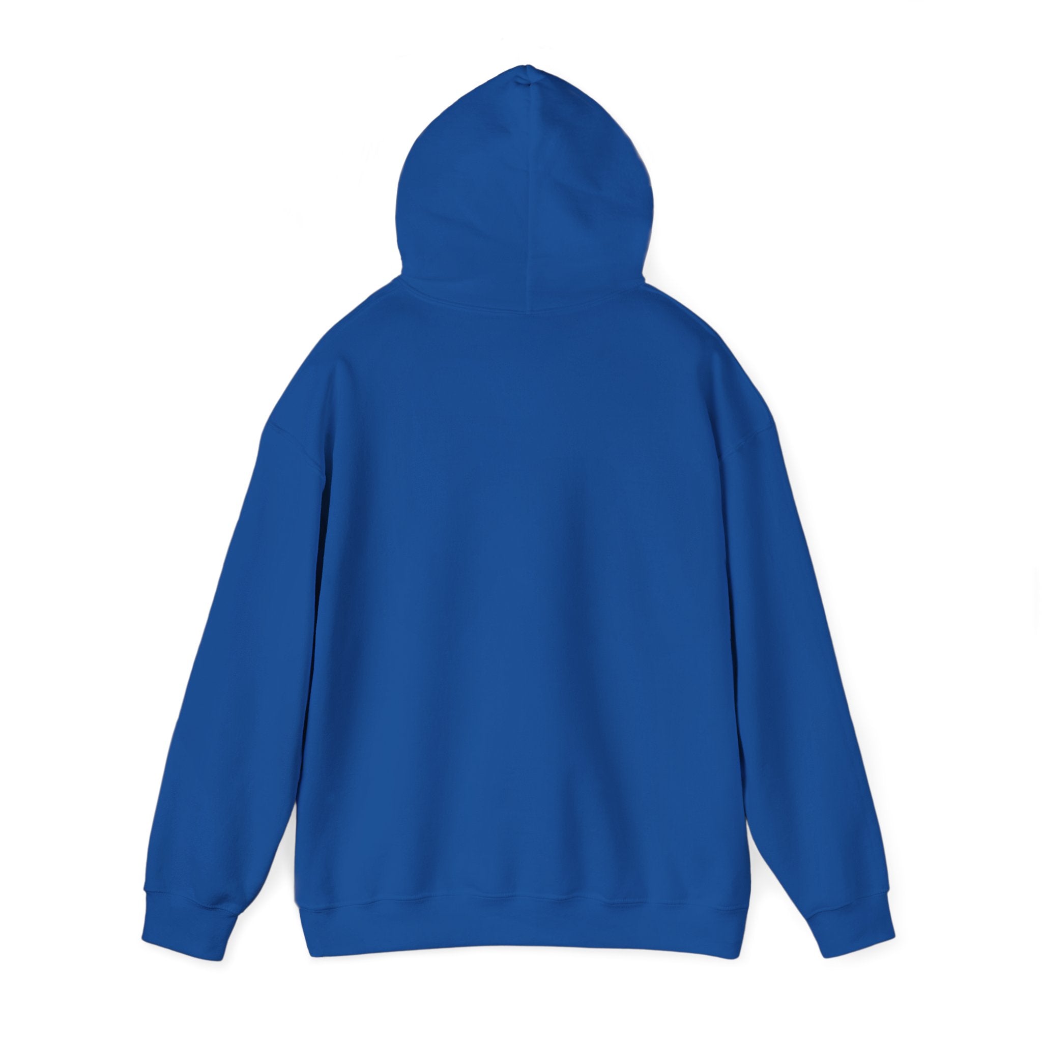 America 250th Anniversary Eagle | Unisex Hoodie